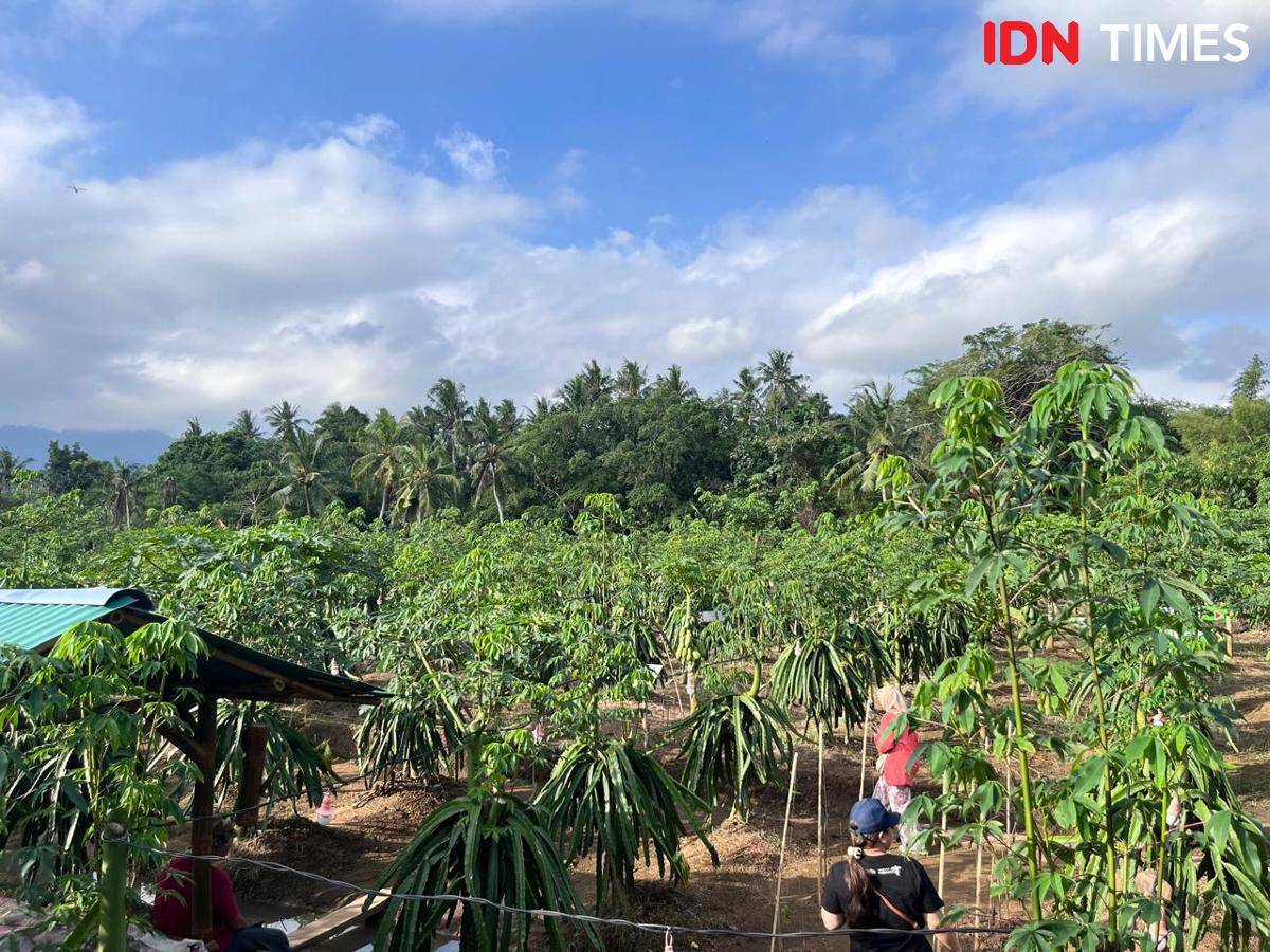 Potret Agro Wisata Lembah Permai, Jembrana, Bali Bara