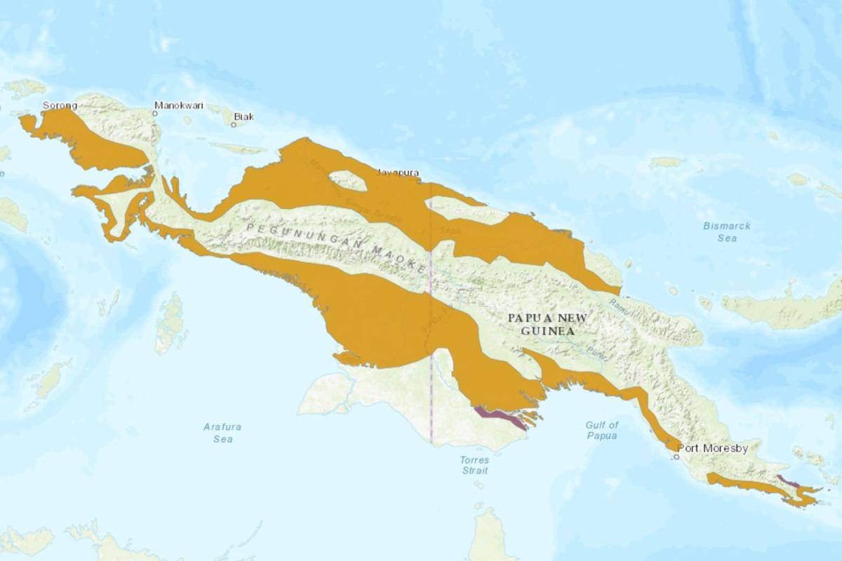 Cendrawasih 12 Kawat