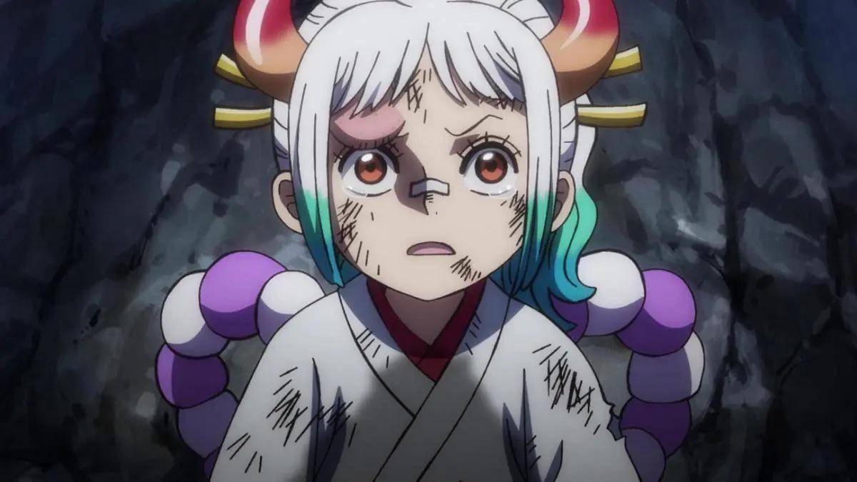 Yamato kecil (dok. Toei Animation/One Piece)