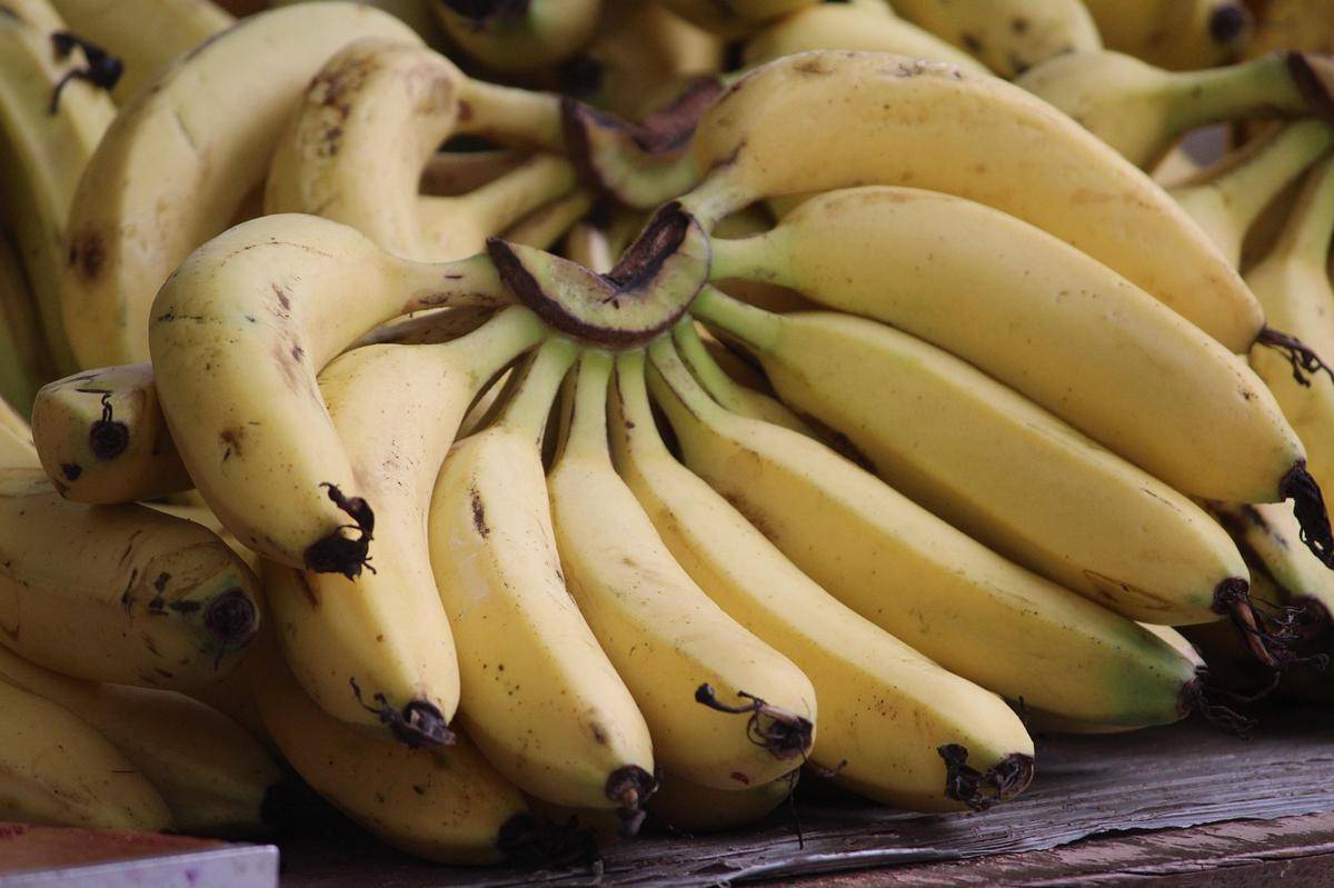 Pisang matang