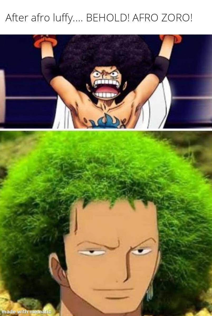 meme duo dalam anime One Piece