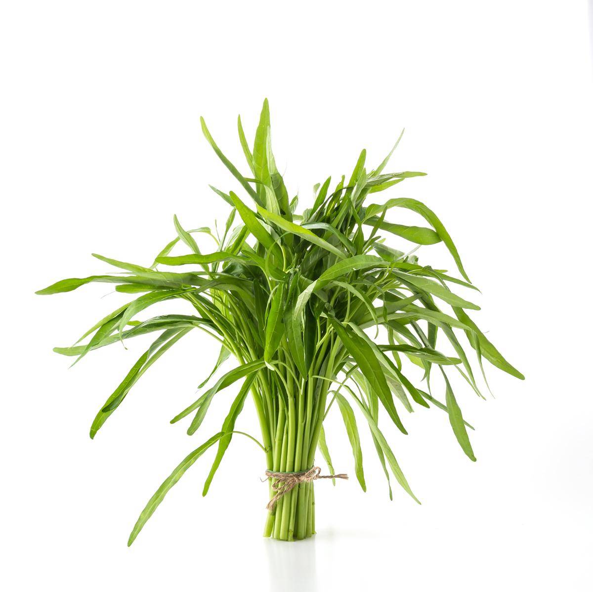 Kangkung (freepik.com/topntp26)