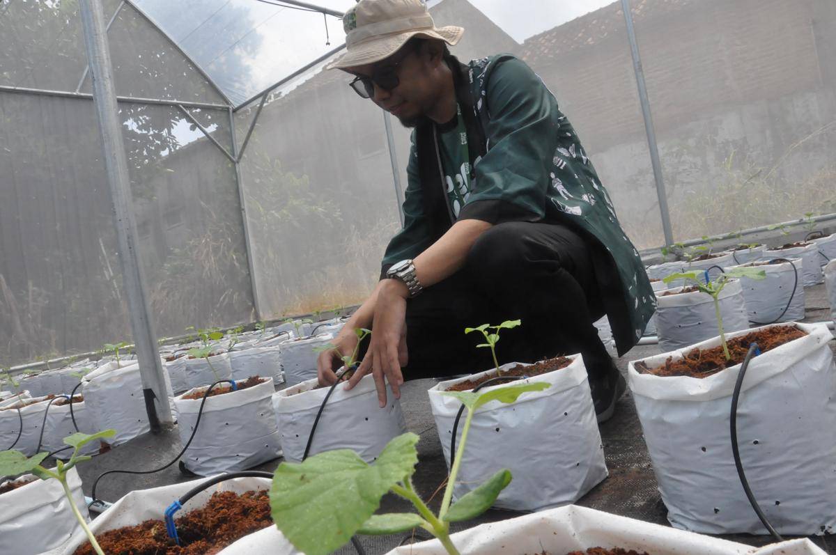 Program regenerasi petani Petani Keren di Kwartir Daerah Pramuka Lampung pada Selasa, 29 Juli 2025. (dok. FAO/Ardila Syakriah)