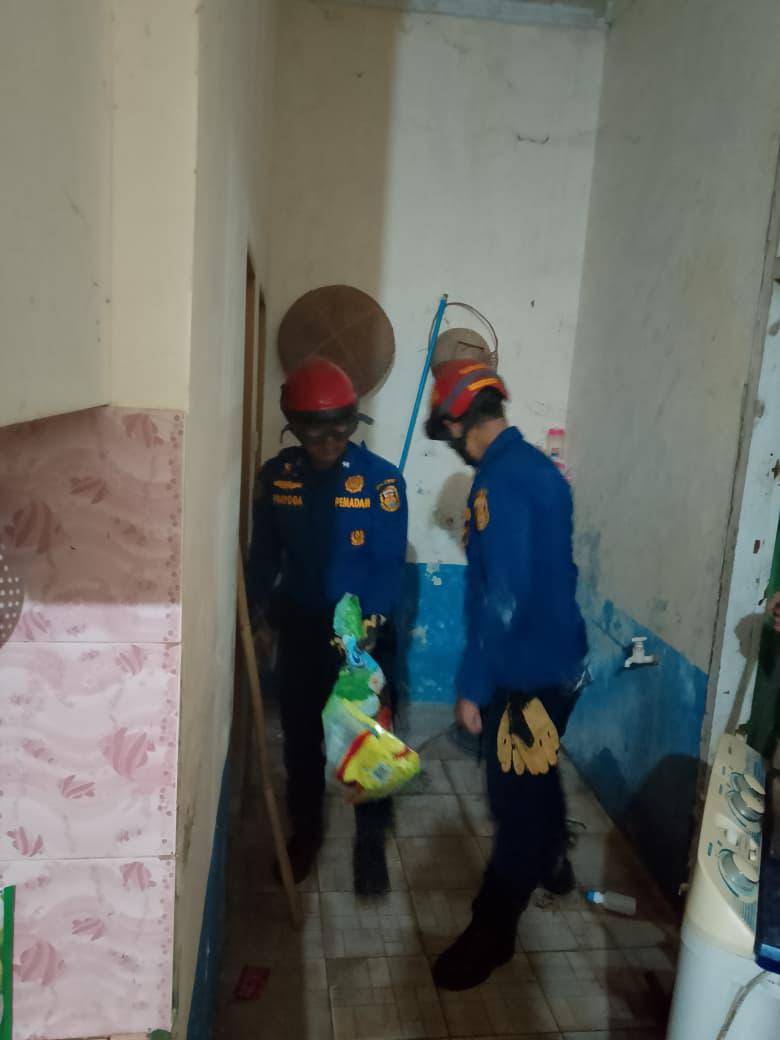 Damkarmat Bandar Lampung saat evakuasi ular kobra di rumah warga. (IDN Times/Damkarmat Bandar Lampung)