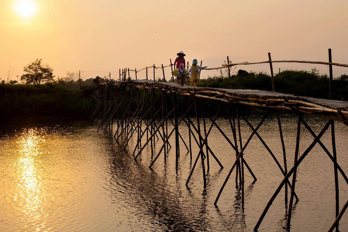 ilustrasi jembatan bambu (pexels.com/Võ Văn Tiến)