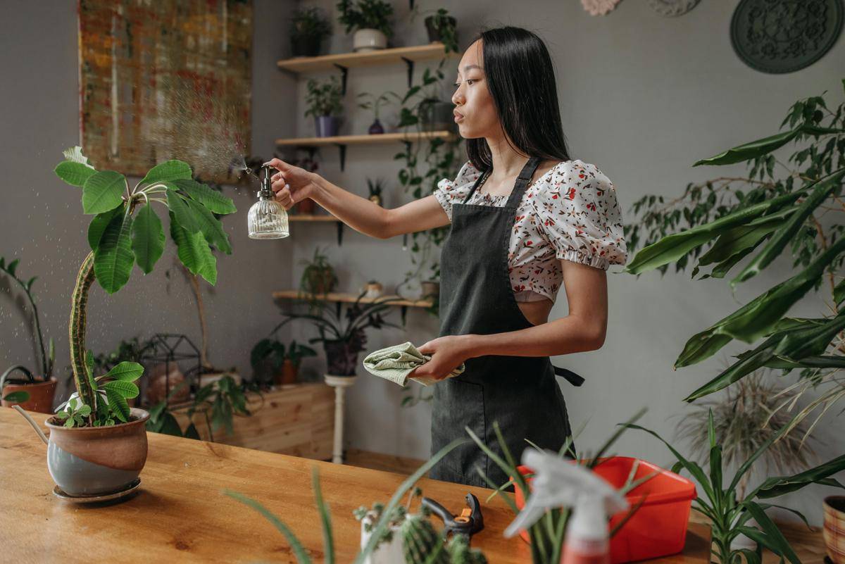 ilustrasi berkebun di rumah (pexels.com/ROCKETMANN TEAM)