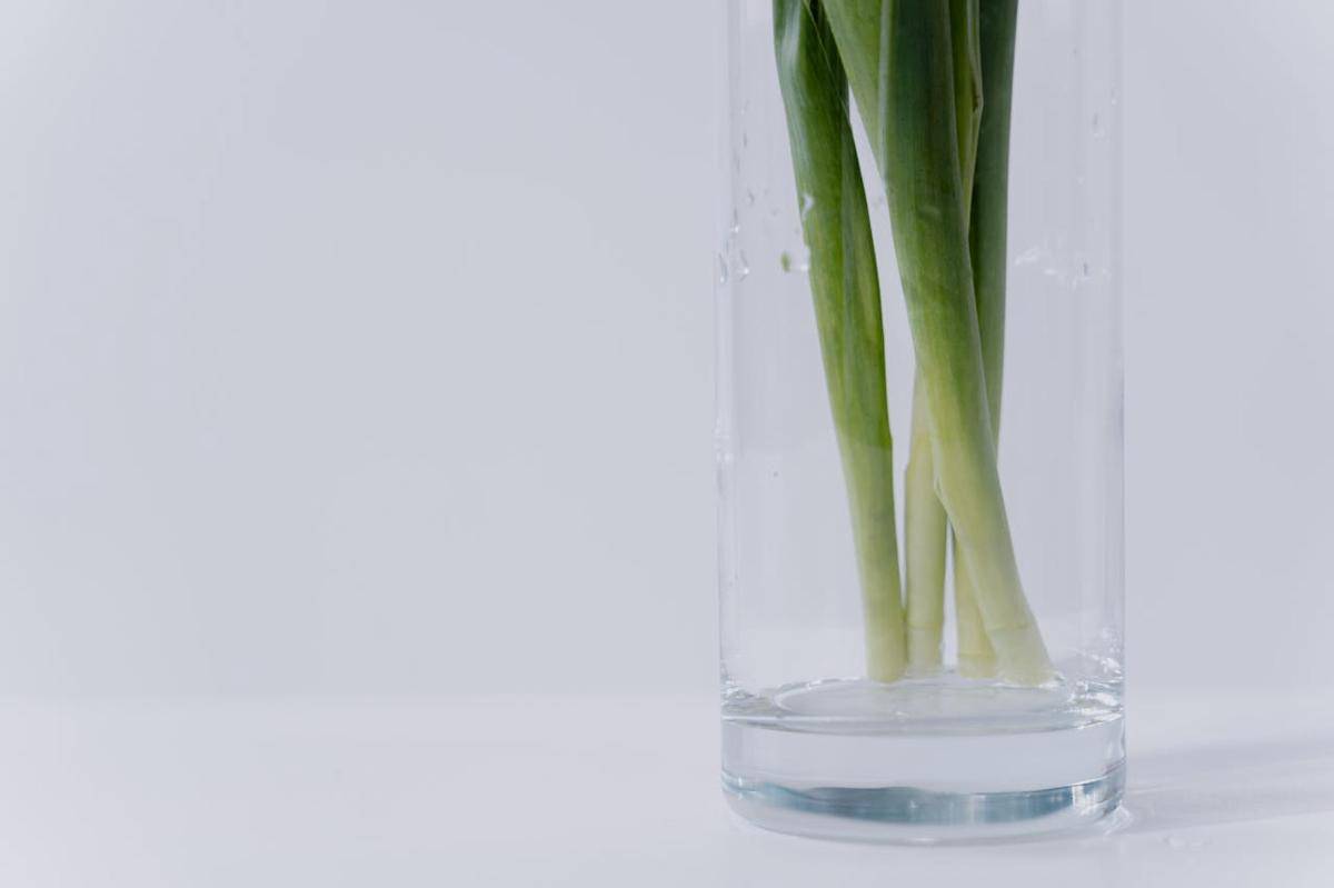 Daun bawang (pexels.com/MART  PRODUCTION)