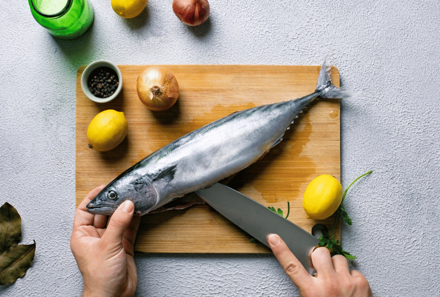 ilustrasi ikan tenggiri segar 