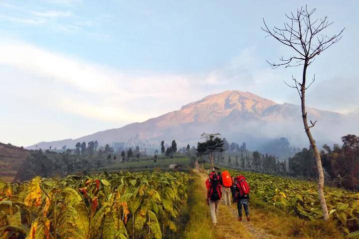 potret jalur pendakian gunung Slamet