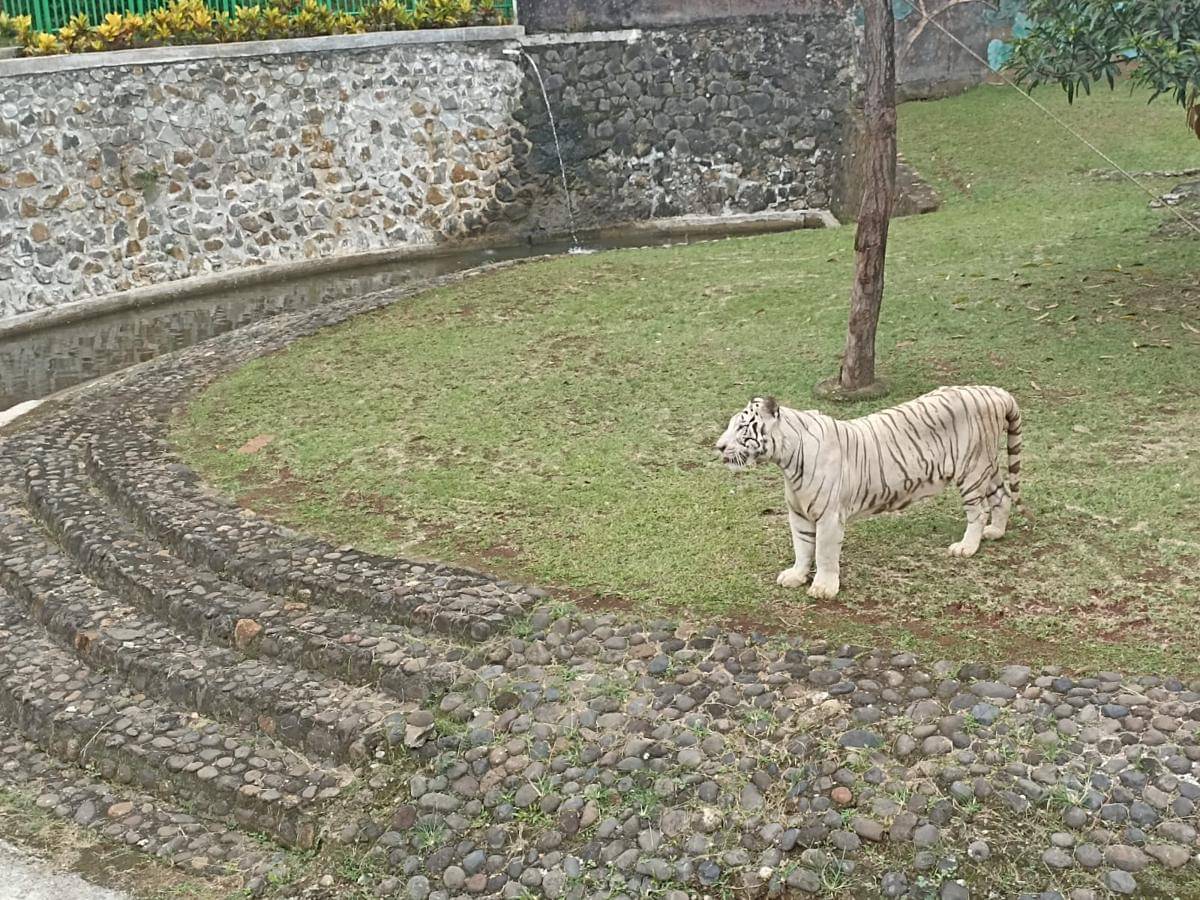 WhatsApp Image 2025-08-14 at 09.41.09 (2).jpeg