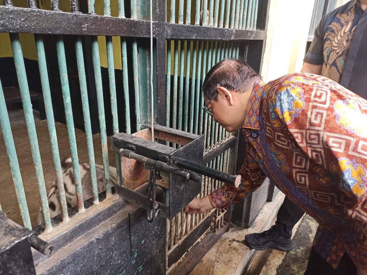 WhatsApp Image 2025-08-14 at 09.40.13.jpeg