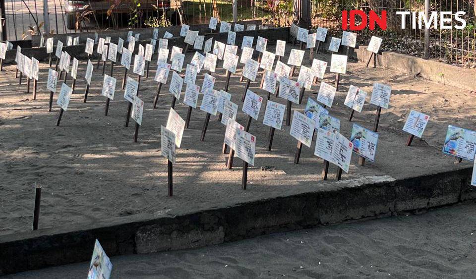 Potret sarang-sarang penyu, Kurma Asih Sea Turtle, Jembrana, Bali Barat 