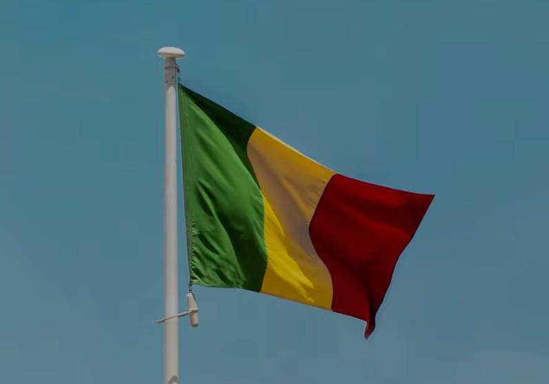 Bendera Mali (unsplash.com/aboodi vesakaran)