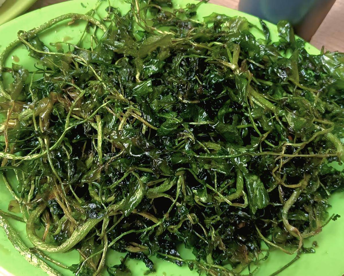 Warung Nasi Bu Imas (google.com/maps/Rya Chairiyani)