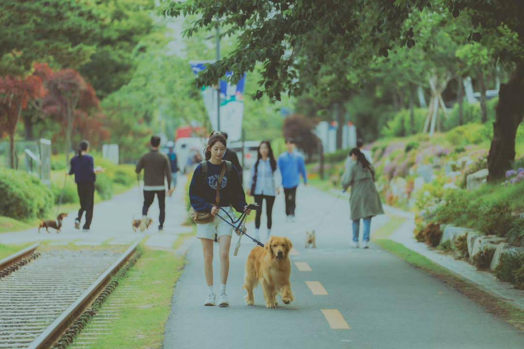 Kang Yeo Reum (Gang Seung Yeon) di drakor My Lovely Journey (instagram.com/travelagency_summer)