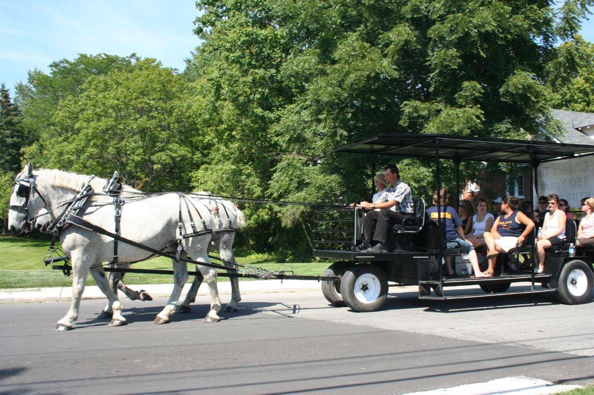 Kuda Percheron