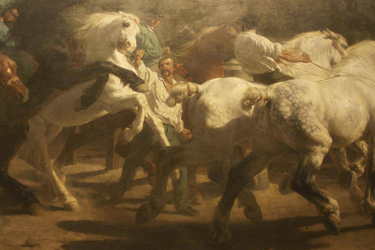 Kuda Percheron