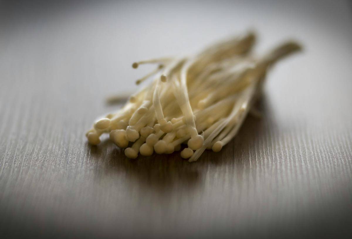 ilustrasi jamur enoki