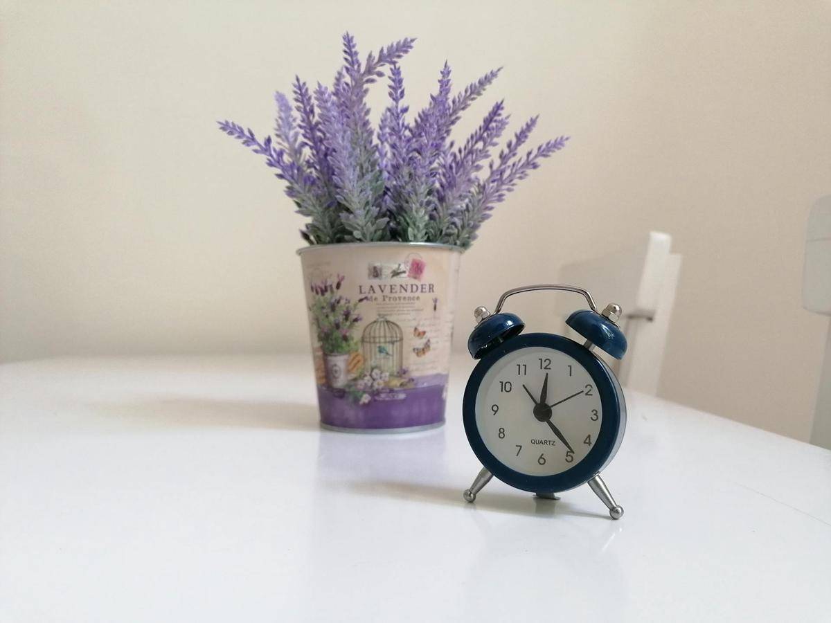 ilustrasi tanaman lavender (pexels.com/Enikő Tóth)