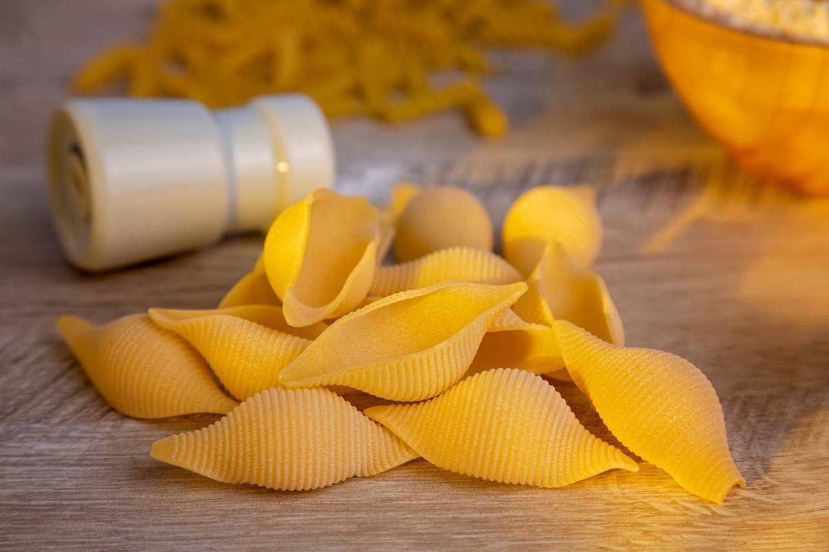 ilustrasi pasta berbentuk kerang