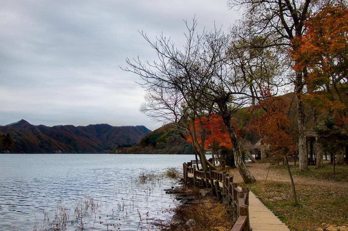 potret Nami Island (pixabay.com/torial)