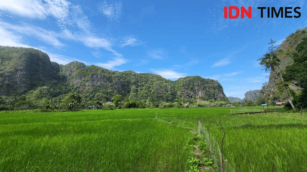 Ilustrasi sawah dan perbukitan (IDN Times/Ridwan Aji Pitoko)