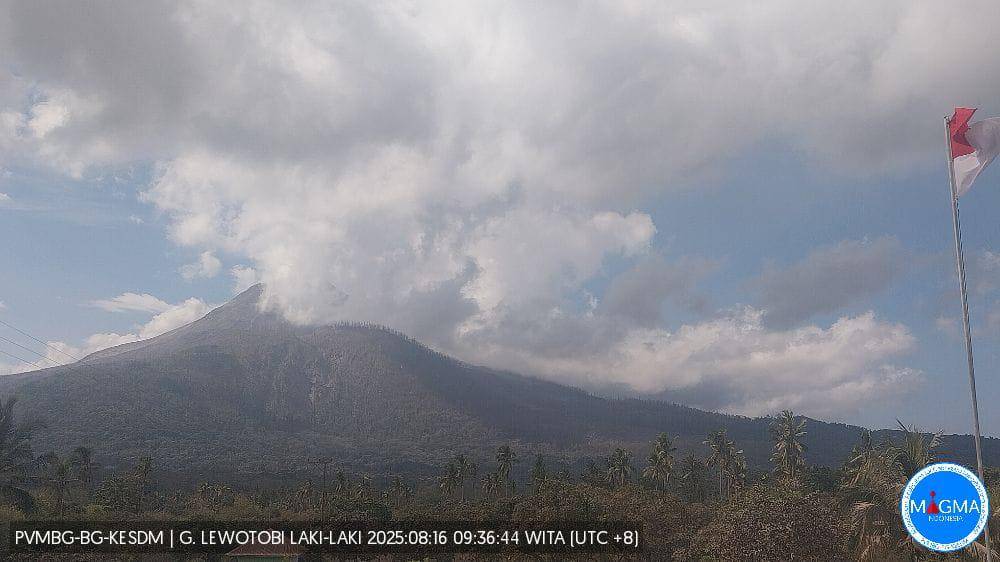 Visual Gunung Lewotobi Laki-laki pada 16 Agustus 2025, pukul 09.36 WITA. (Dok MAGMA Indonesia)