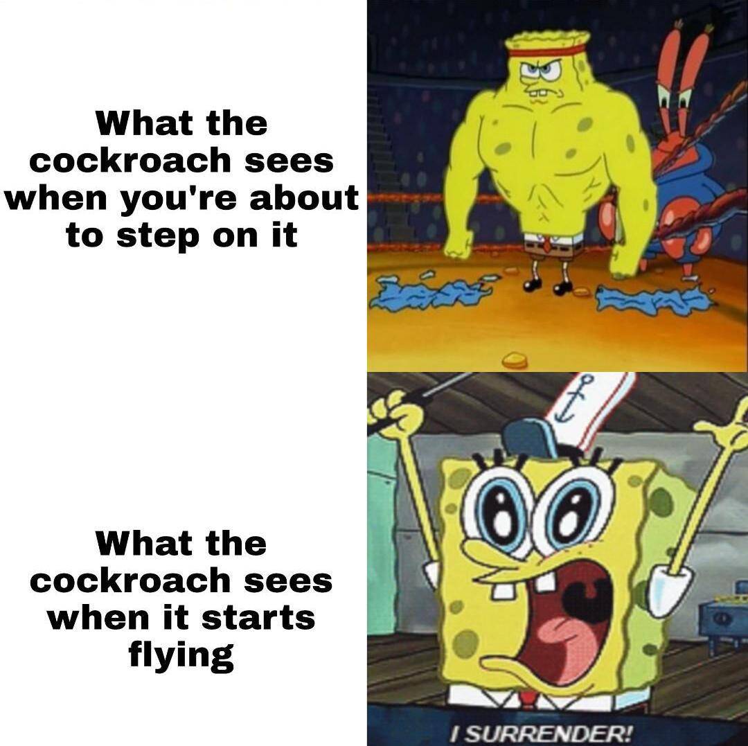 meme SpongeBob tentang kecoak