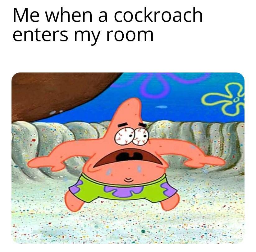 meme SpongeBob tentang kecoak
