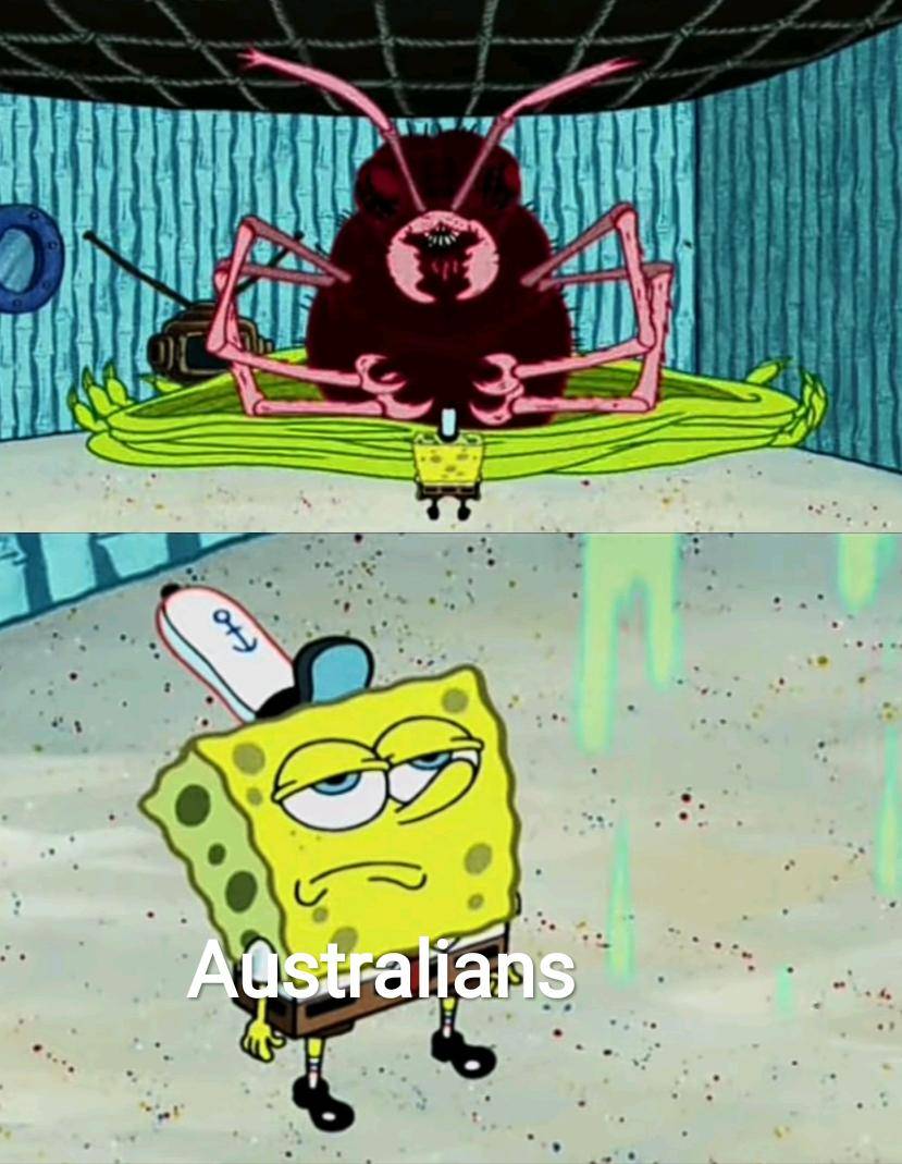 meme SpongeBob tentang kecoak