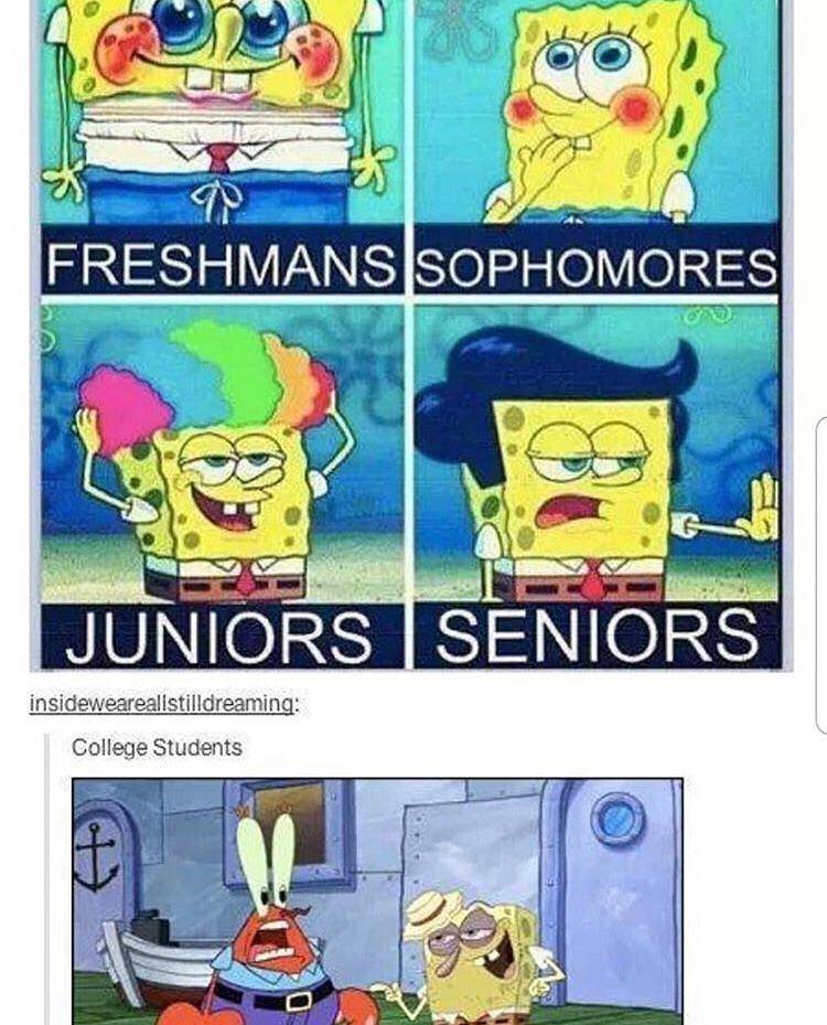 meme SpongeBob tentang mahasiswa