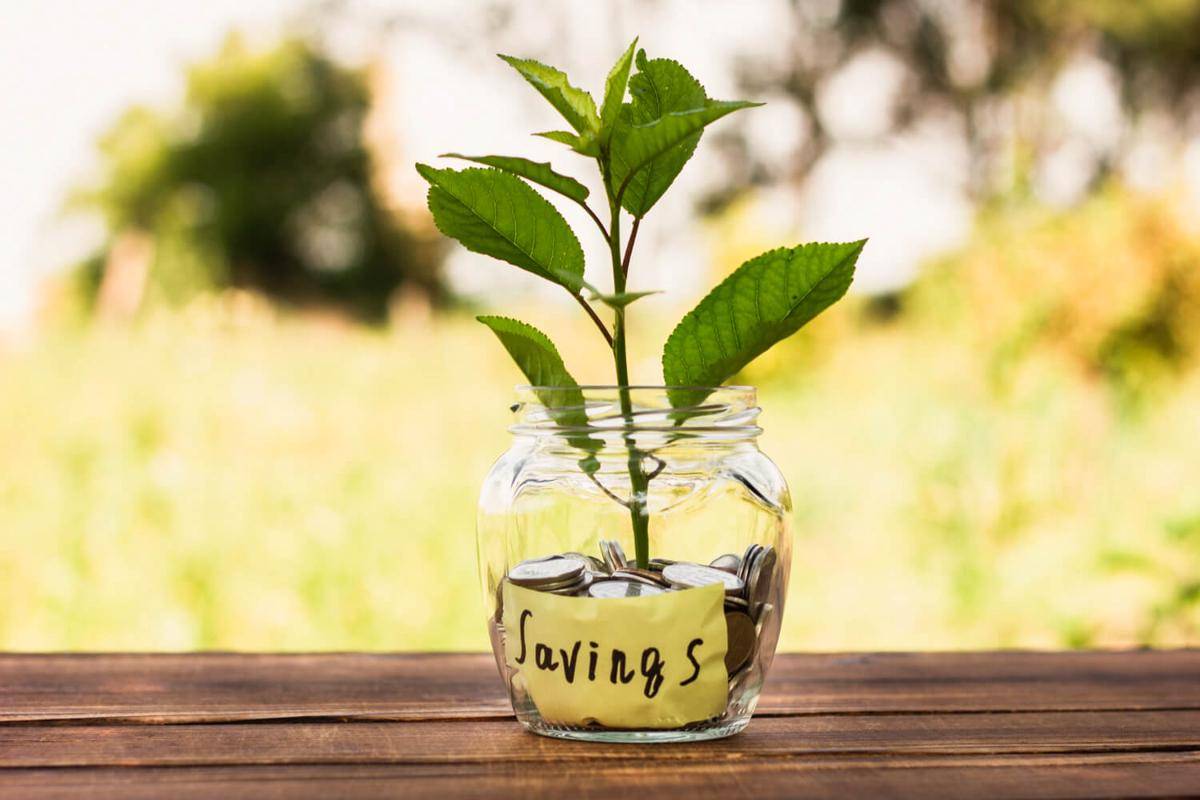 ilustrasi savings (freepik.com/Freepik)