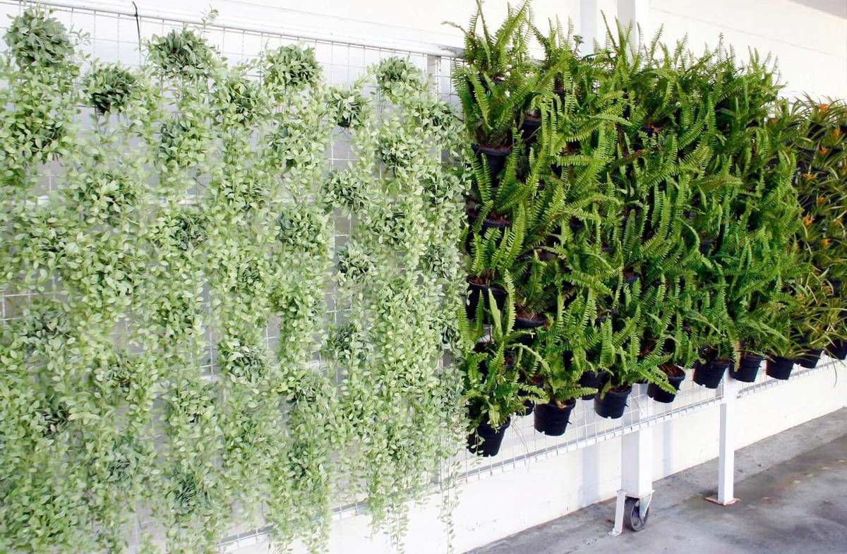ilustrasi vertical garden (vecteezy.com/Surut Wattanamaetee)