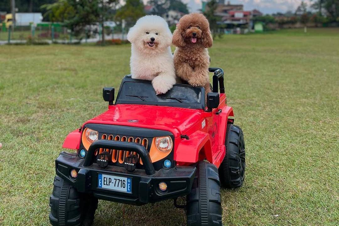 Atv di Bukit Kubu Berastagi (instagram.com/naubiscooter)