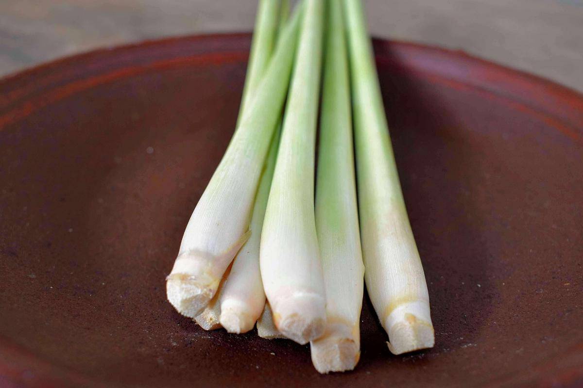 ilustrasi serai atau lemongrass (pixabay.com/WonderfulBali)