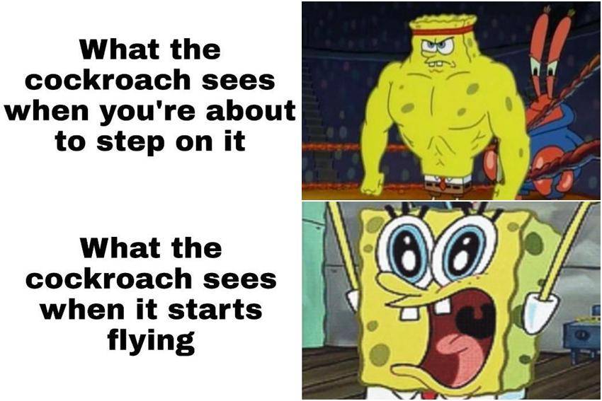 meme SpongeBob tentang kecoak