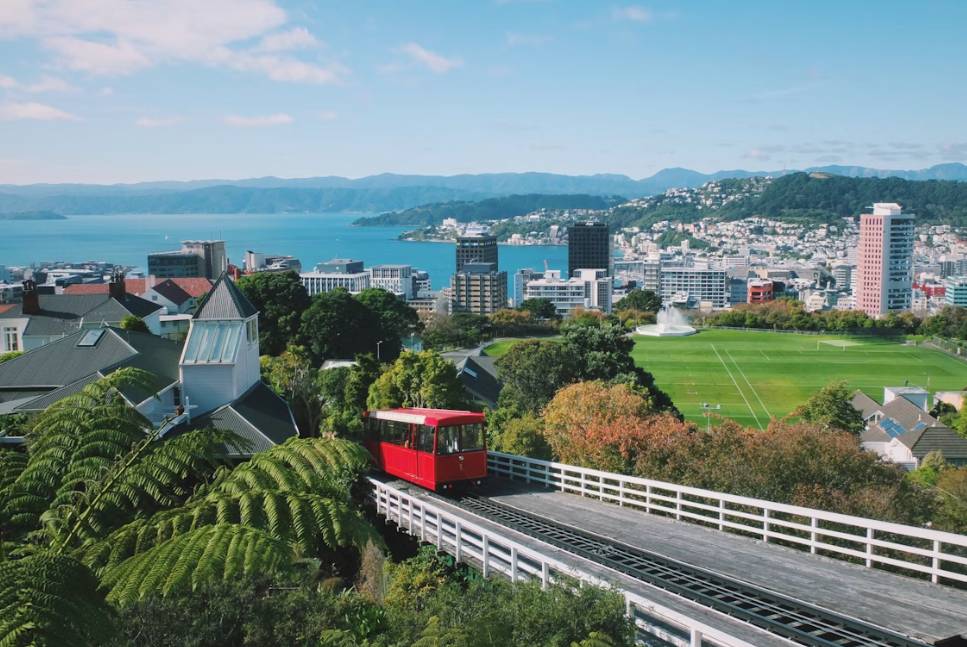 potret Wellington (unsplash.com/João Marcelo Martins)