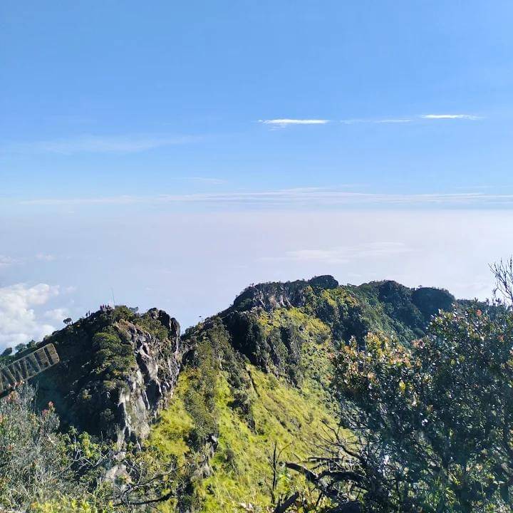 potret Gunung Sumbing