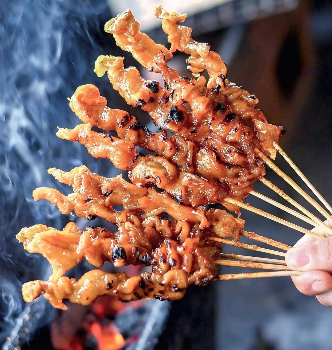 Sate Ayam Ponorogo Saporo (google.com/maps/Nur Pancha Putra Batubara)