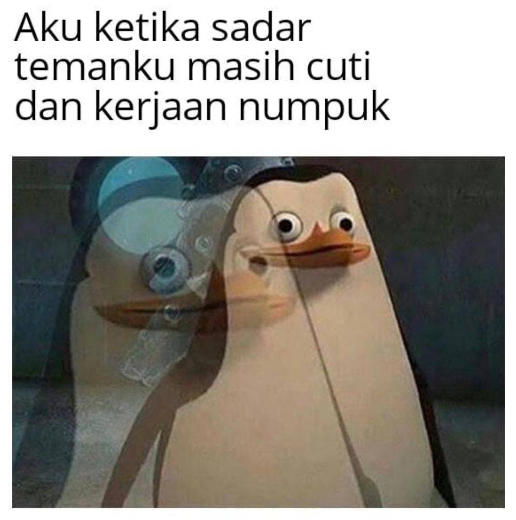 meme cuti