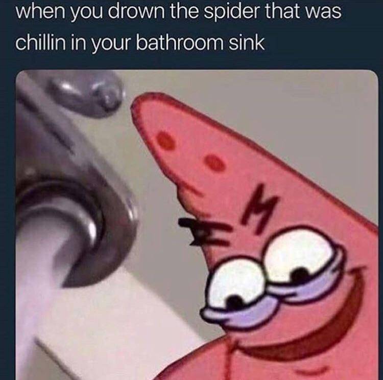 meme SpongeBob tentang laba-laba
