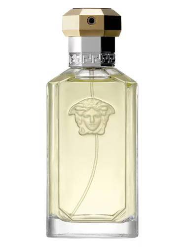 Versace The Dreamer (fragrantica.com)