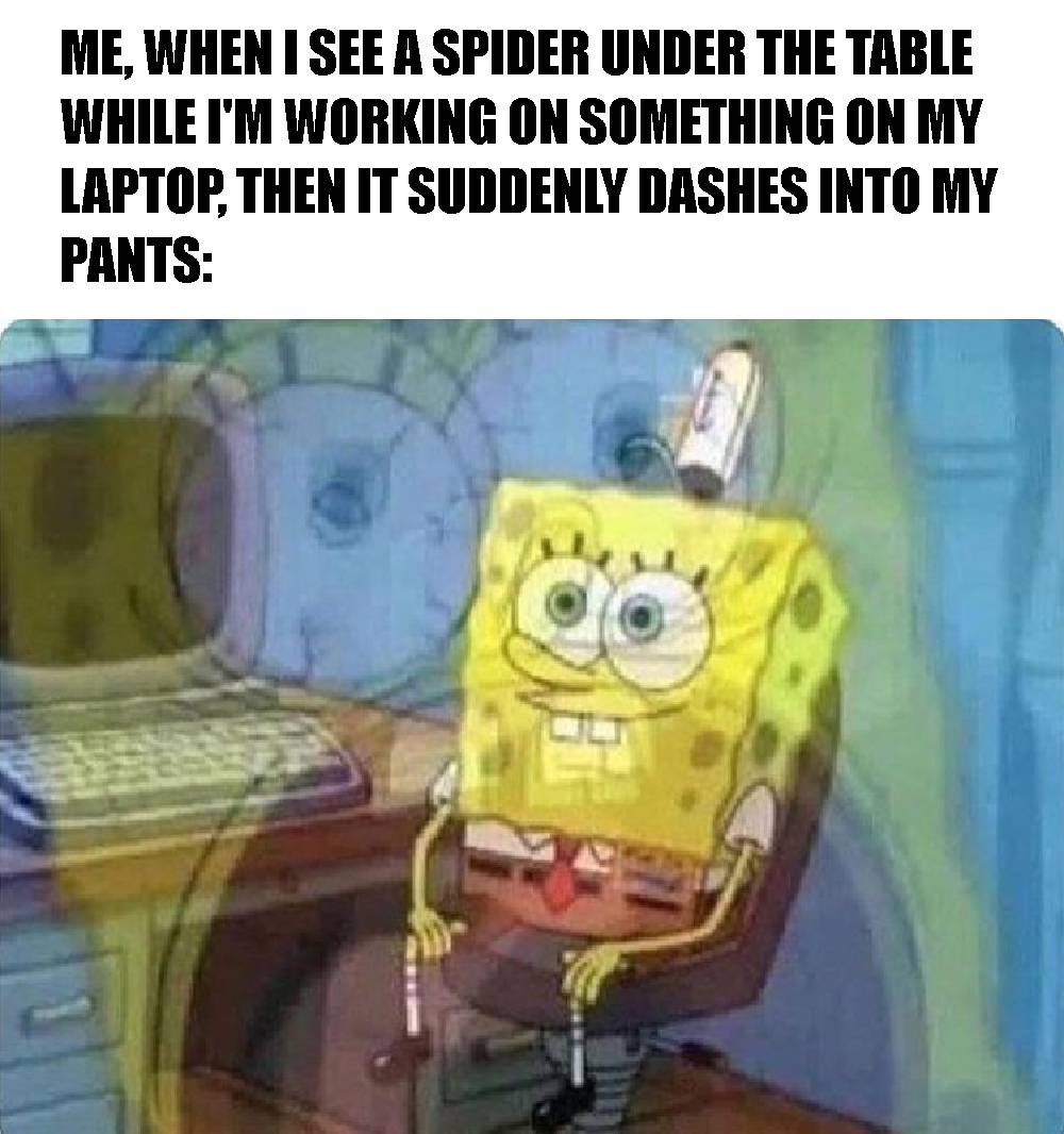 meme SpongeBob tentang laba-laba