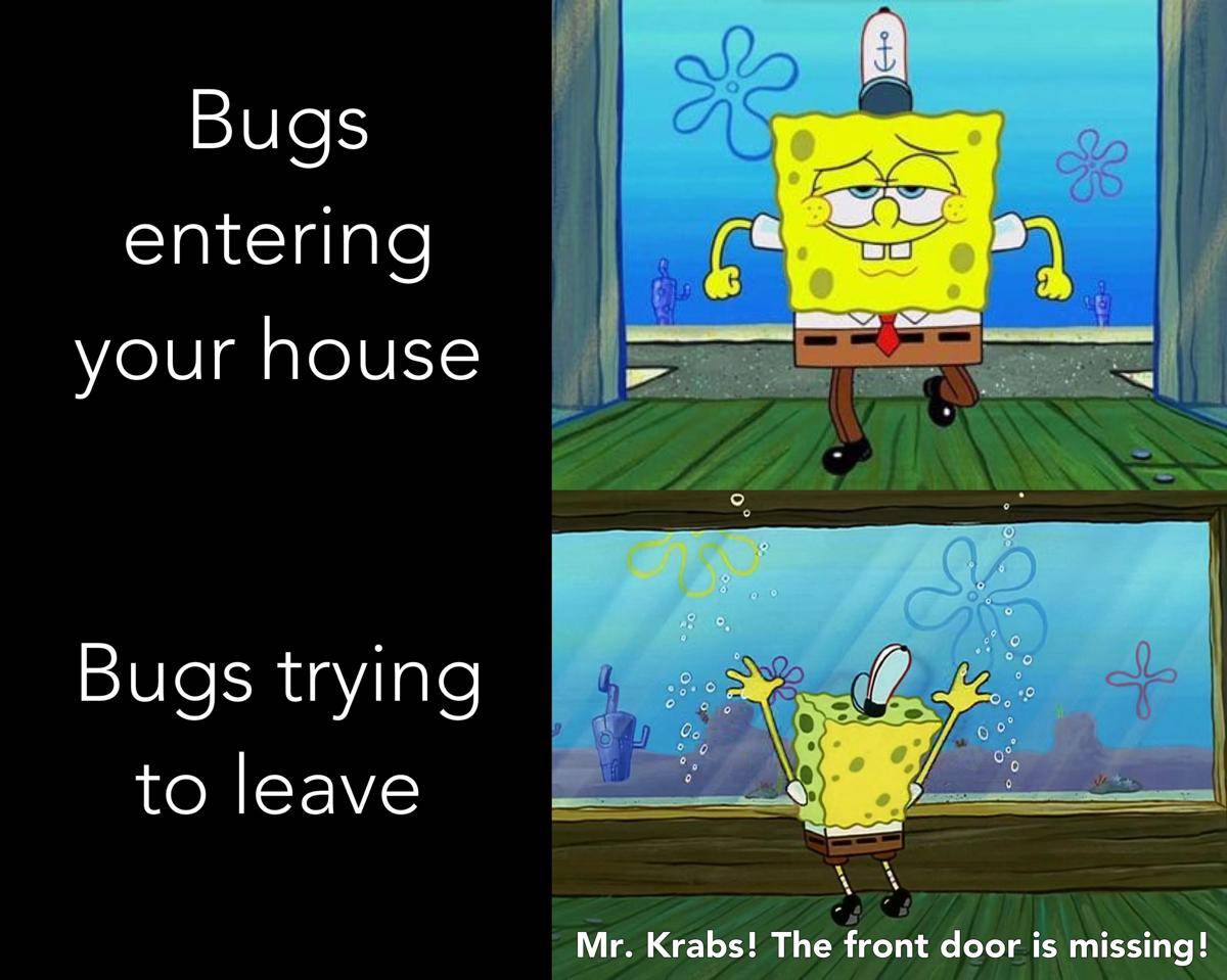 meme SpongeBob tentang serangga 