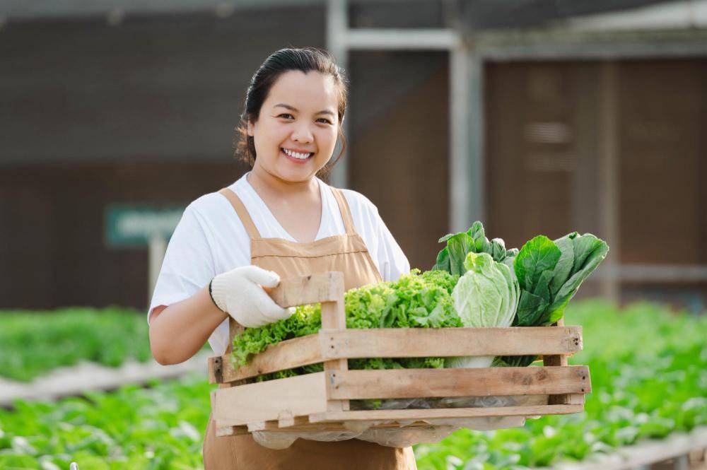 ilustrasi memanen sayur