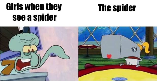 meme SpongeBob tentang laba-laba