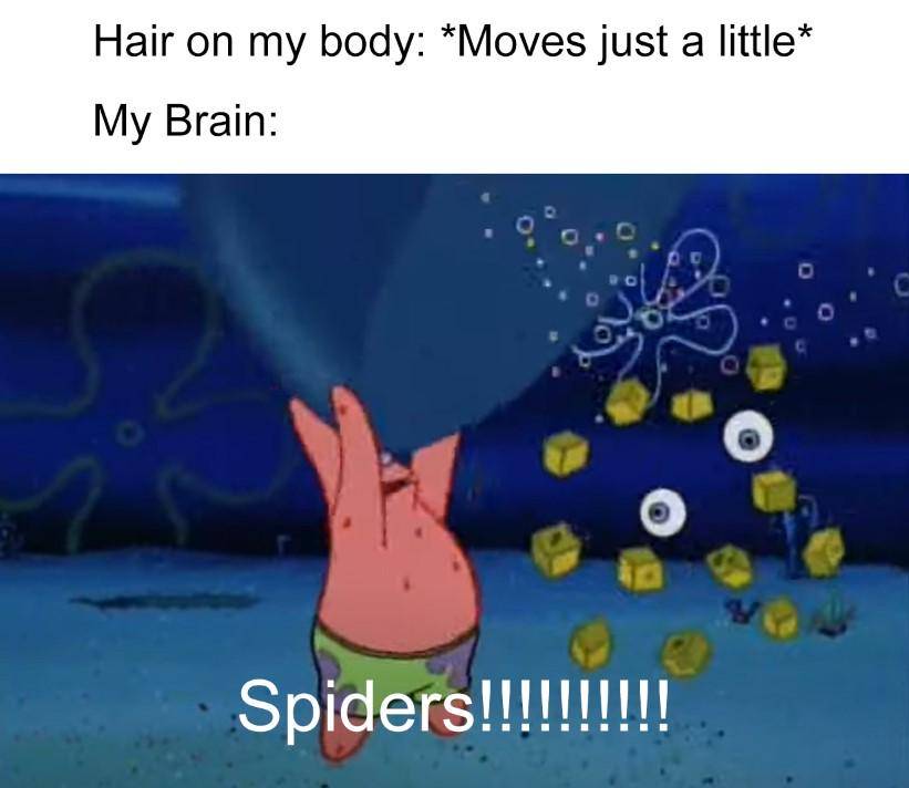 meme SpongeBob tentang laba-laba