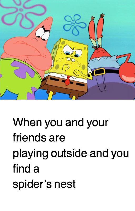 meme SpongeBob tentang laba-laba