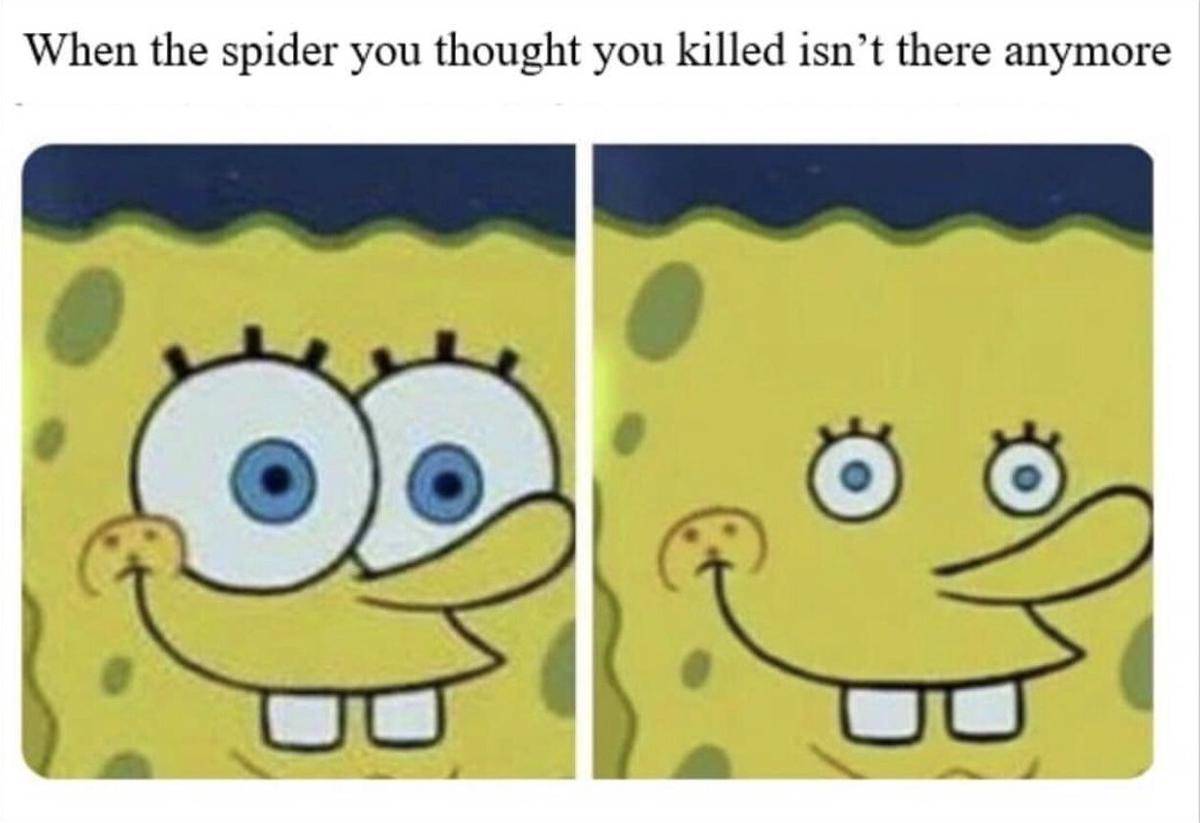 meme SpongeBob tentang serangga 