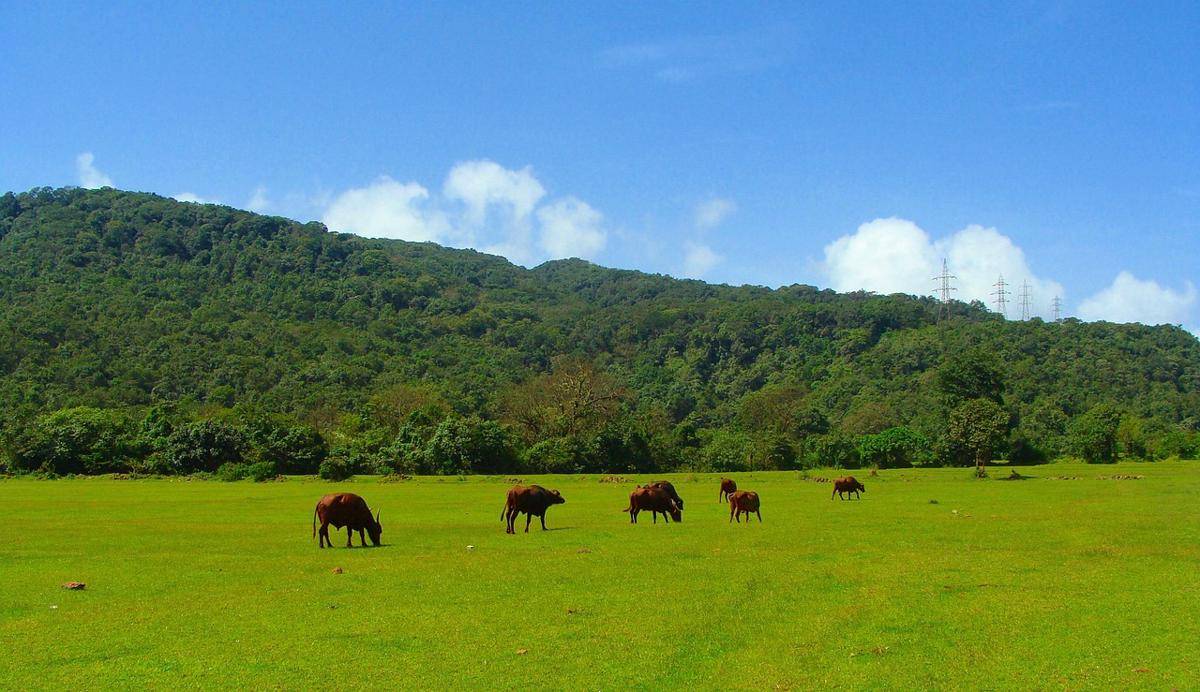 Western Ghats